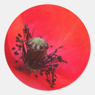 Poppy Stickers