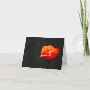 Poppy thank you card