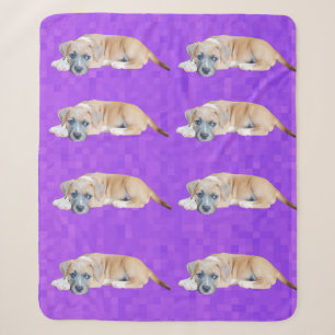 Poppy The Playful Bull Terrier Puppy Relax Time, Sherpa Blanket