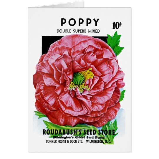 Poppy Vintage Seed Packet Card
