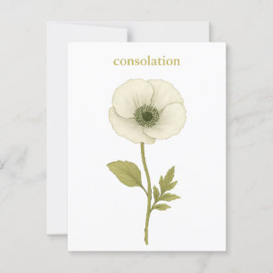Poppy (white) — Consolation Postcard