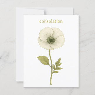 Poppy (white) — Consolation Postcard