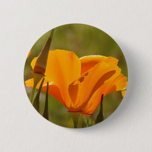Poppy Wildflower Button