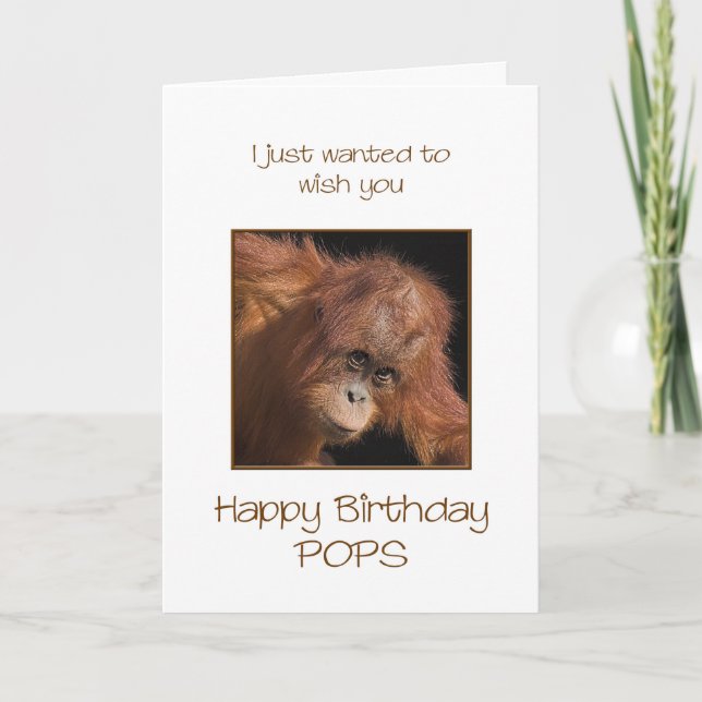 Pops Birthday, Orang Utan Card (Front)