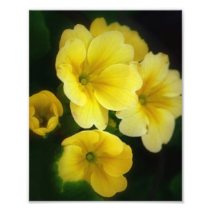Pops of Yellow 8x10 Photo Print