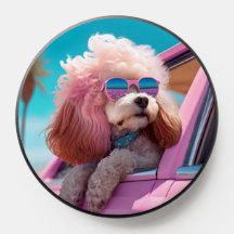 Le chien rose : une longue course | Socket Pop Cut