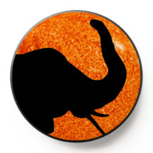 Profil éléphant Éclipse solaire ombre