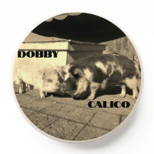 Socket Dobby et Calico Pop