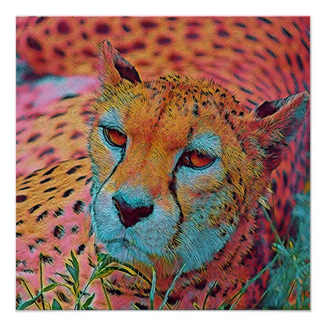 popular Animals - Cheetah Poster (Front)