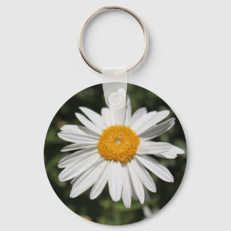 popular flower, pretty wild white daisy photograph keychain