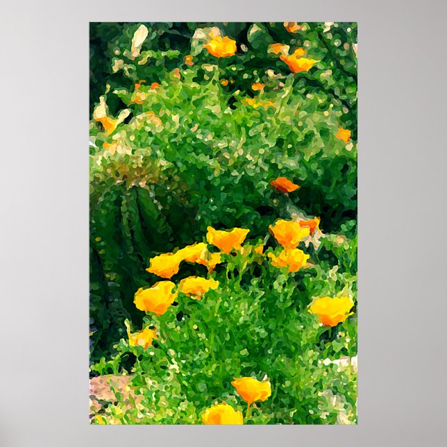 popzzz poster (Front)