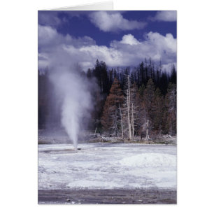Porc Chop Geyser, Parc national de Yellowstone