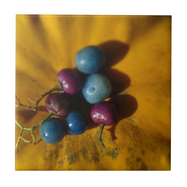 Porcelain Berries and Pumpkin Tile (Front)