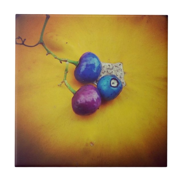 Porcelain Berries on a pumpkin Tile (Front)