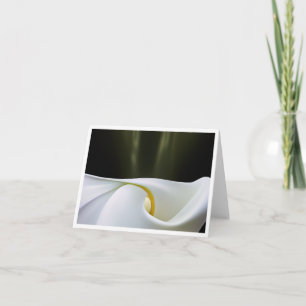 Porcelain Calla Note Card