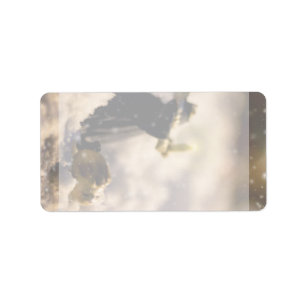 Porcelain Nights V Label