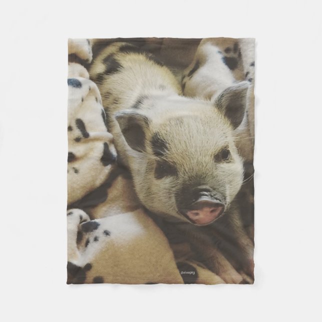 Porcelet de bébé dans une couverture (Devant)