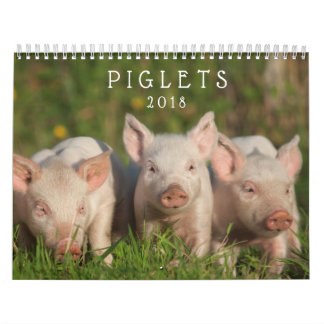 Porcelets doux 2018 - calendrier mural de porcs de