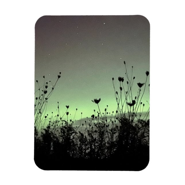 Porch View / Weeds / Magnet (Vertical)