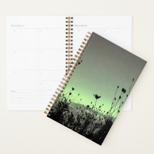 Porch View / Weeds /  Planner