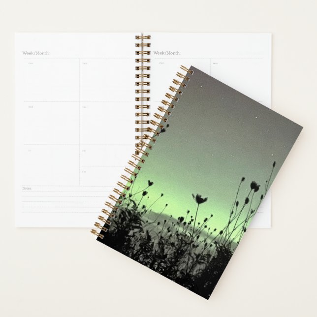 Porch View / Weeds /  Planner (Display)