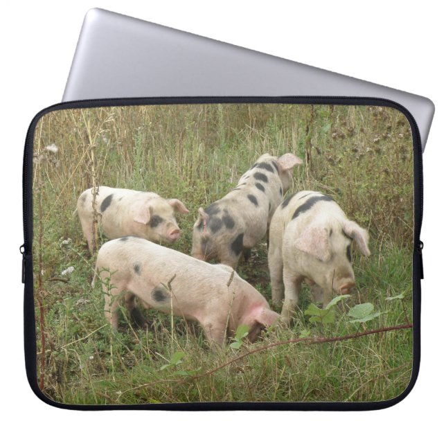 Porcs dans un sac d'ordinateur portable (Devant)