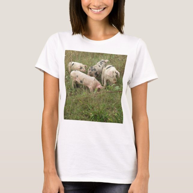 Porcs dans un T-shirt de terrain (Devant)