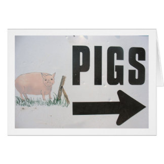 Porcs de cette façon