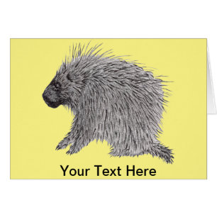 Porcupine