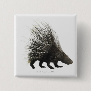 Porcupine 2 Inch Square Button