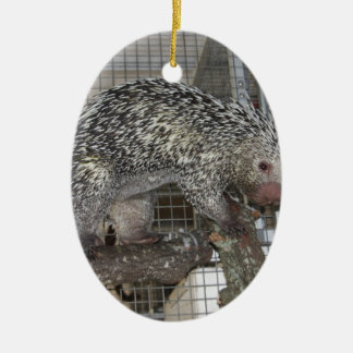 Porcupine Ceramic Ornament
