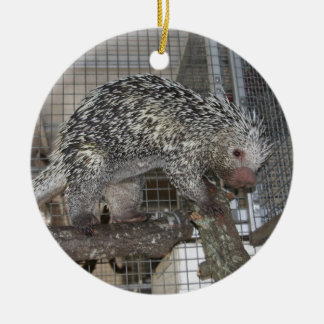 Porcupine Ceramic Ornament
