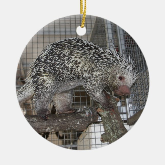 Porcupine Ceramic Ornament (Front)