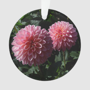 Porcupine de la vallée de Dahlia #1 Ornement