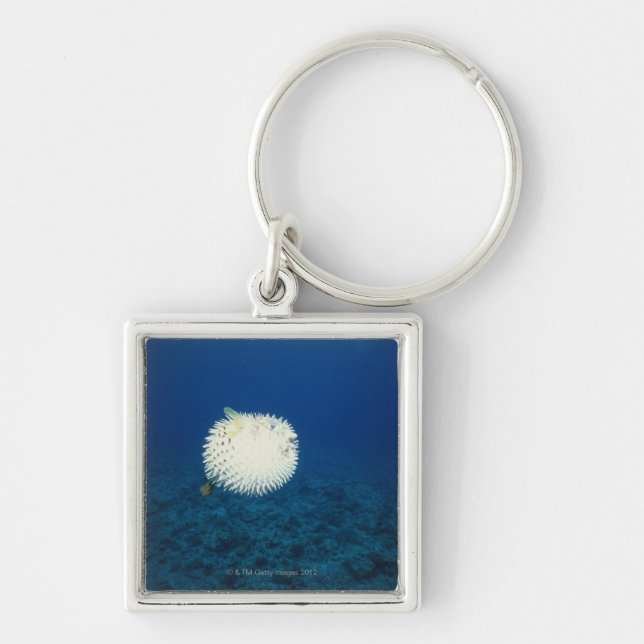 Porcupine Fish Keychain (Front)