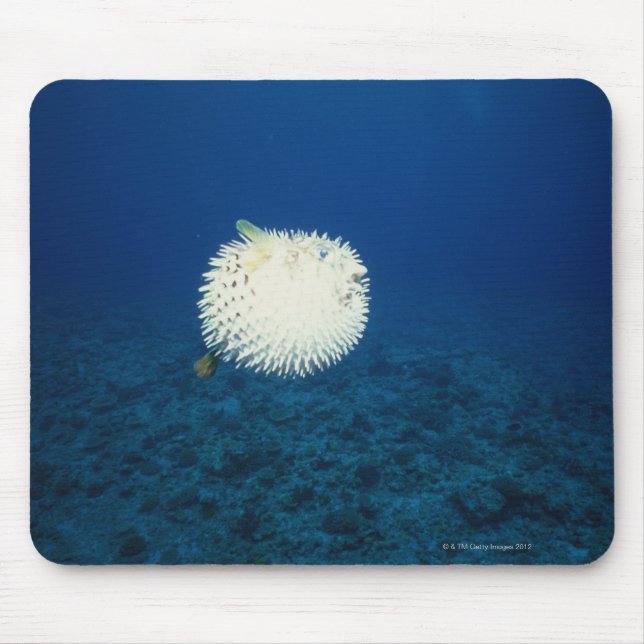 Porcupine Fish Mouse Pad (Front)