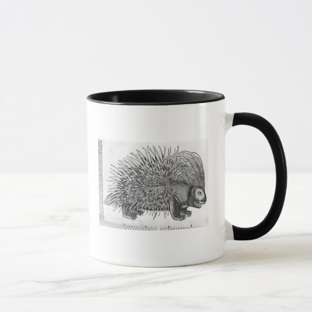 Porcupine, from 'Historia Animalium' Mug (Right)