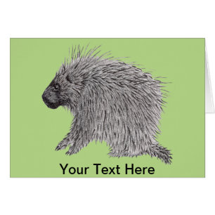 Porcupine Greeting Card