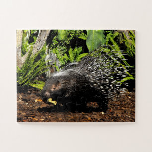 Porcupine Jigsaw Puzzle