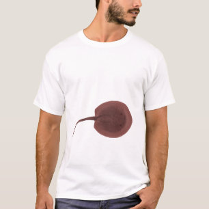 Porcupine River Stingray T-Shirt