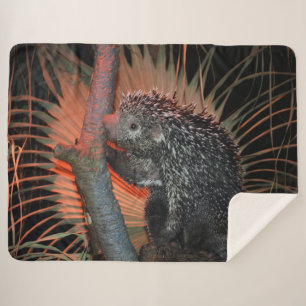 Porcupine  sherpa blanket