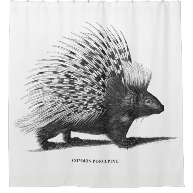 Porcupine Shower Curtain (Front)