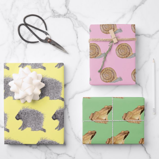 Porcupine, Snail and Wood Frog Wrapping Paper Sheet (Front)