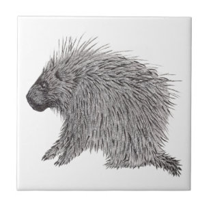 Porcupine Tile