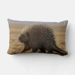 Porcupine vs. Dog Lumbar Pillow