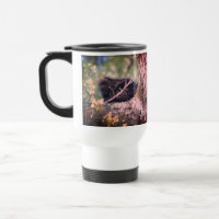Porcupine Wildlife Nature Personalized