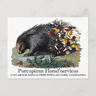 Porcupinus Hoerd'oervicus Postcard