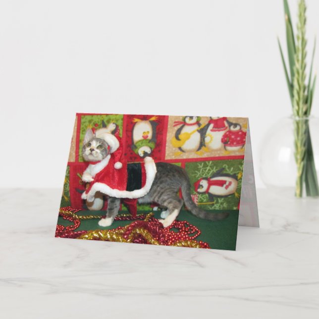 Pork Chop as Santa Claws - Cat / Kitten Christmas Holiday Card (Front)