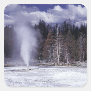 Pork Chop Geyser ,Yellowstone National Park Square Sticker