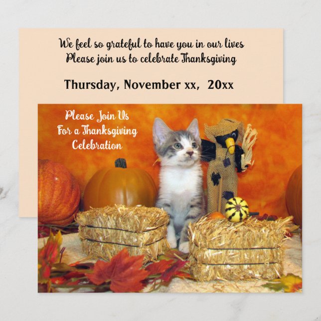Pork Chop's Fall / Autumn / Thanksgiving Cat Invitation (Front/Back)